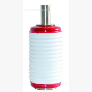 TD-12/630-12.5真空灭弧室/真空开关管（出口型）