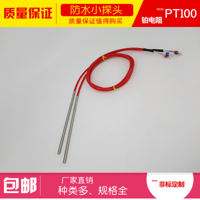 WZPT系列非标列耐酸碱铂热电阻 Pt100 WZPT-100 防腐蚀热电阻