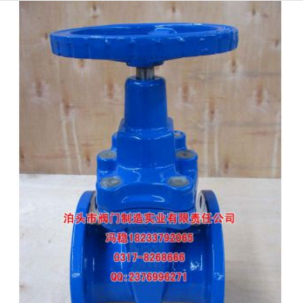 供应DN300德标F4软密封法兰闸阀 出口品质 格