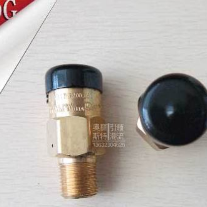 美国rego 3129G安全阀
