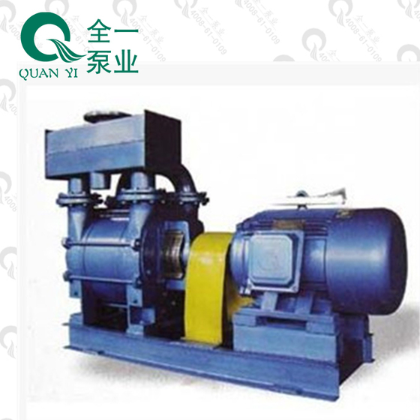 2BE1污水泵杂质泵 四寸污水泵 农药废水含有焦油用可选配二级能效高效或防爆电机