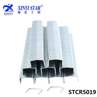 厂家直销STCR5019钉子 码钉，枪钉，门型钉，U型钉