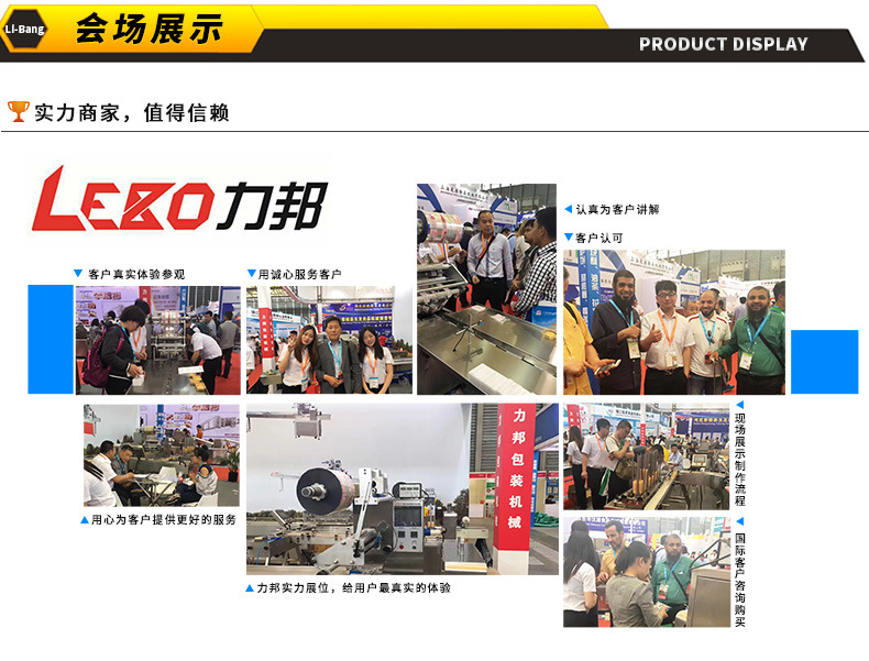 10、LB450全伺服自动包装机_03