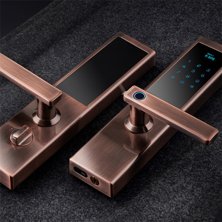 微信图片_20200514141926_副本