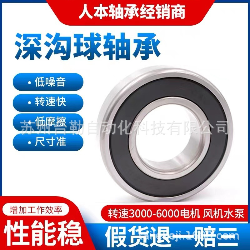 人本轴承6202 2RZ胶盖微型轴承深沟球轴承低噪音不锈钢电机用轴承