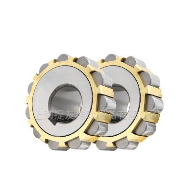 SKF进口偏心轴承RN205M RN206M RN307M RN308M RN309 M RN312M