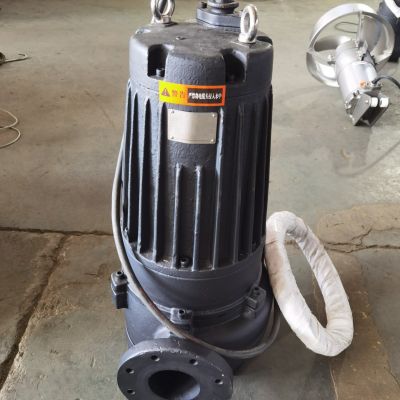 AS30-2CB潜水排砂泵性能试验