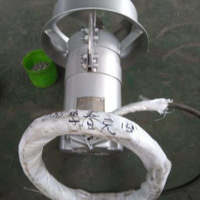 QJB0.37/6-220/3-960S污泥池搅拌器